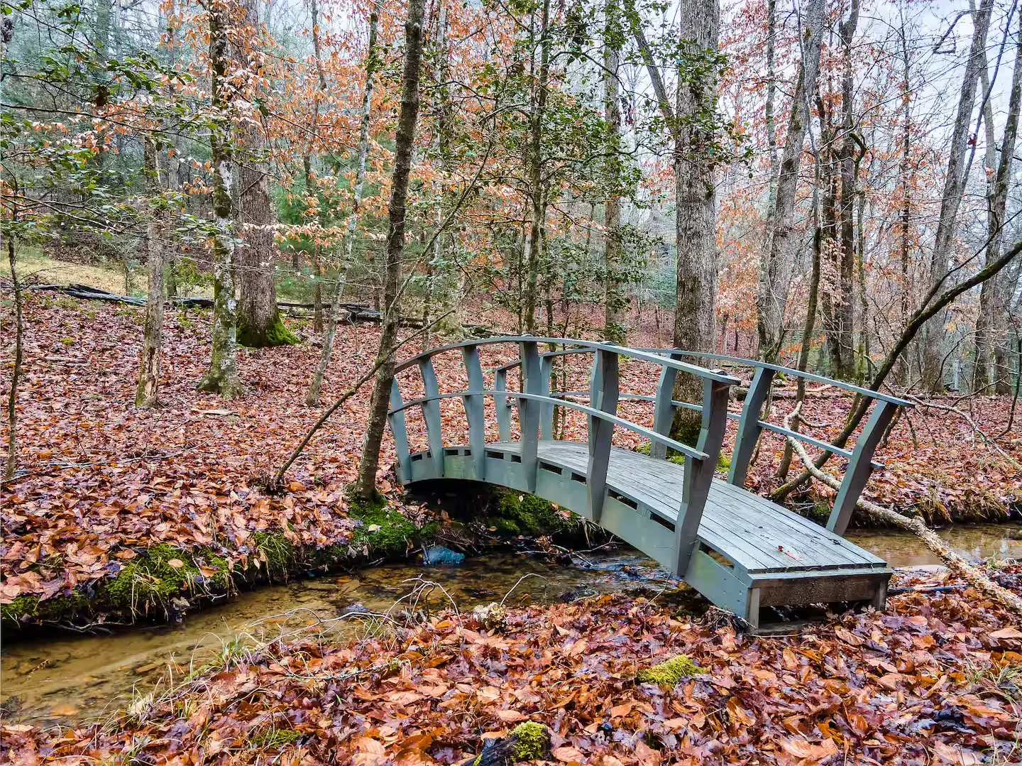 Bridge over stream