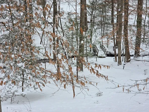 Bridge in snow
