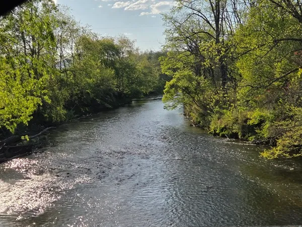 Van Zandt's Bridge